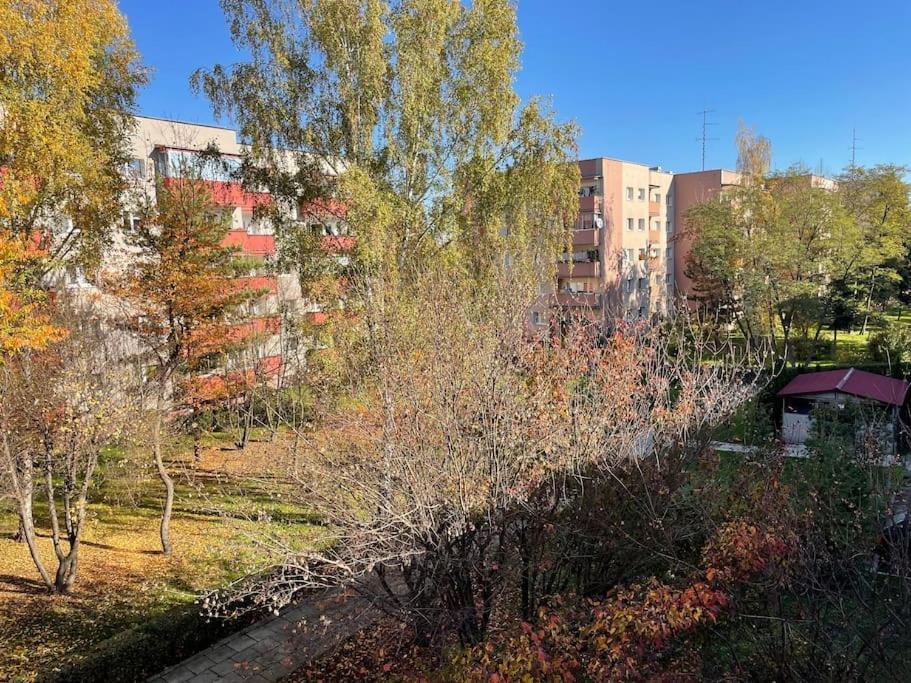 Lucky Seven Cosy 1-Bedroom Apartment, Free Parking Cracovia Exterior foto